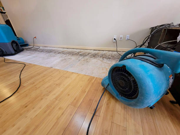 Professional Water Damage Repair technician working in London, CA